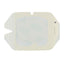 3M Tegaderm Transparent Film Dressing with Border - 4" x 4 3/4" (10 x 12 cm), With Border (Box of 50)