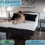 Flex-A-Bed Hi-Lo Adjustable Height Medical Bed