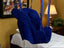 Traxx Mobility Universal Sling
